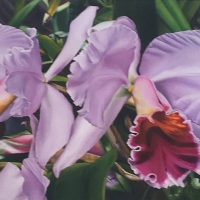 LOCAL ARTISTS EXHIBIT AT CITY HALL’S ATRIUM GALLERY - Reception